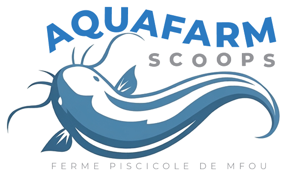 Aquafarm Cameroun — Ferme piscicole de Mfou