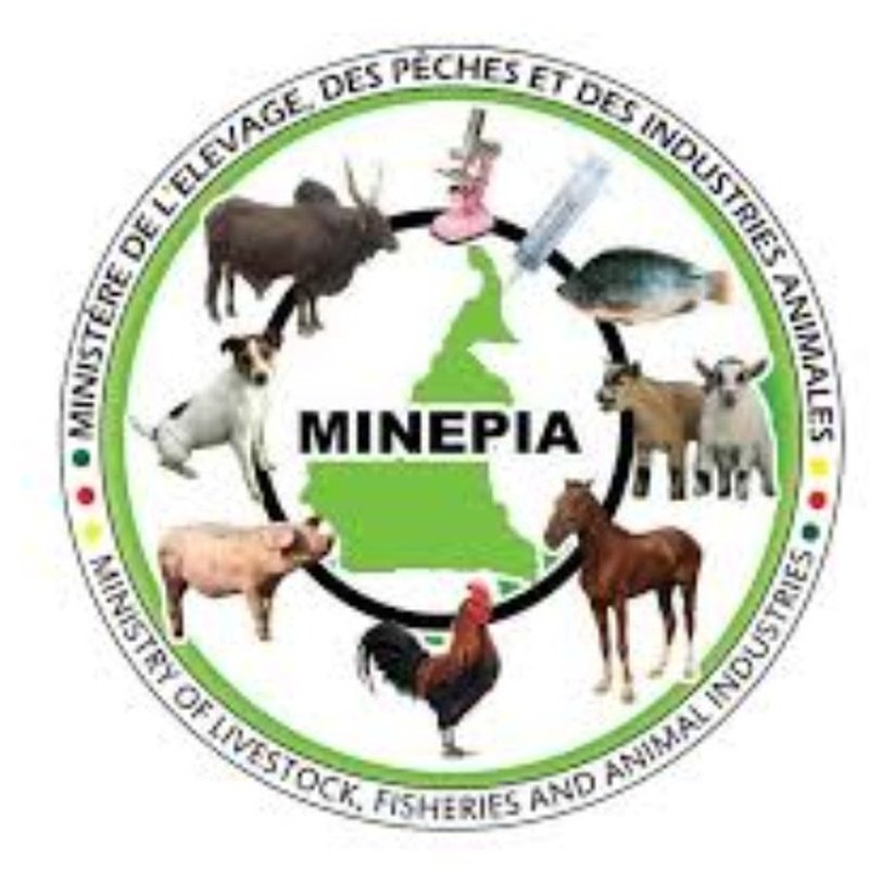 MINEPIA